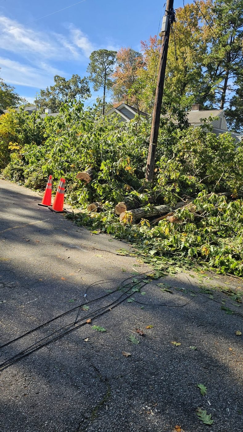 Árbol caído y líneas eléctricas bloqueando una calle residencial tras una tormenta en Raleigh, NC