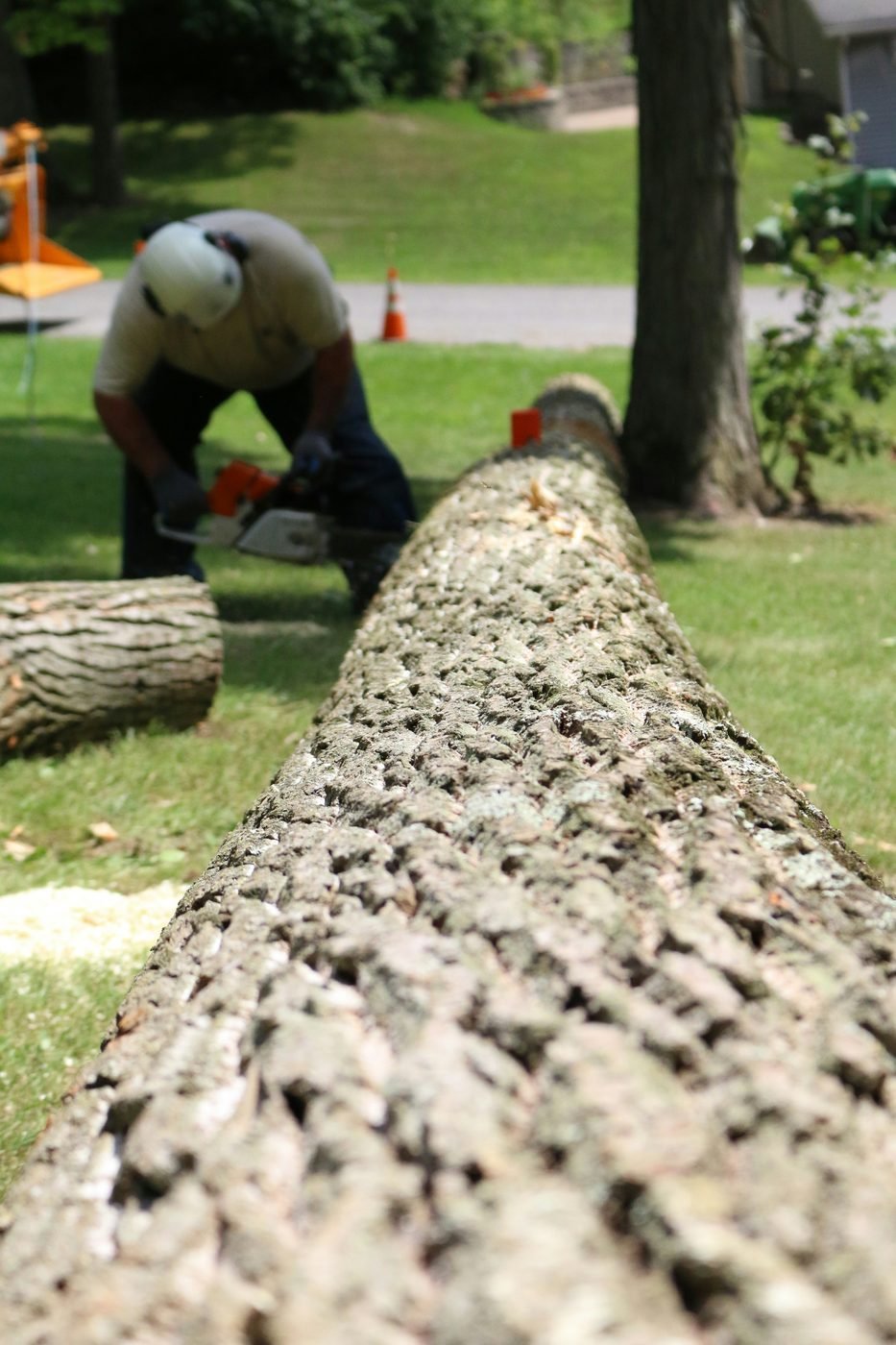 Equipo profesional de remoción cortando un árbol caído de forma segura en Raleigh, NC